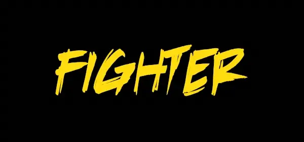 fighter